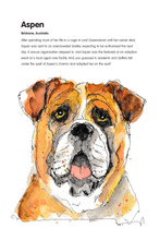 Load image into Gallery viewer, All 3 Drawn Free eBooks plus free downloadable calendar