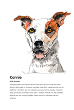 Load image into Gallery viewer, All 3 Drawn Free eBooks plus free downloadable calendar