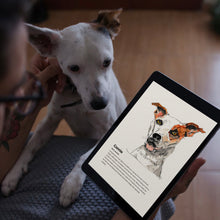 Load image into Gallery viewer, All 3 Drawn Free eBooks plus free downloadable calendar